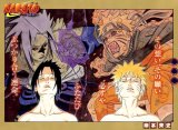 BUY NEW naruto - 136476 Premium Anime Print Poster